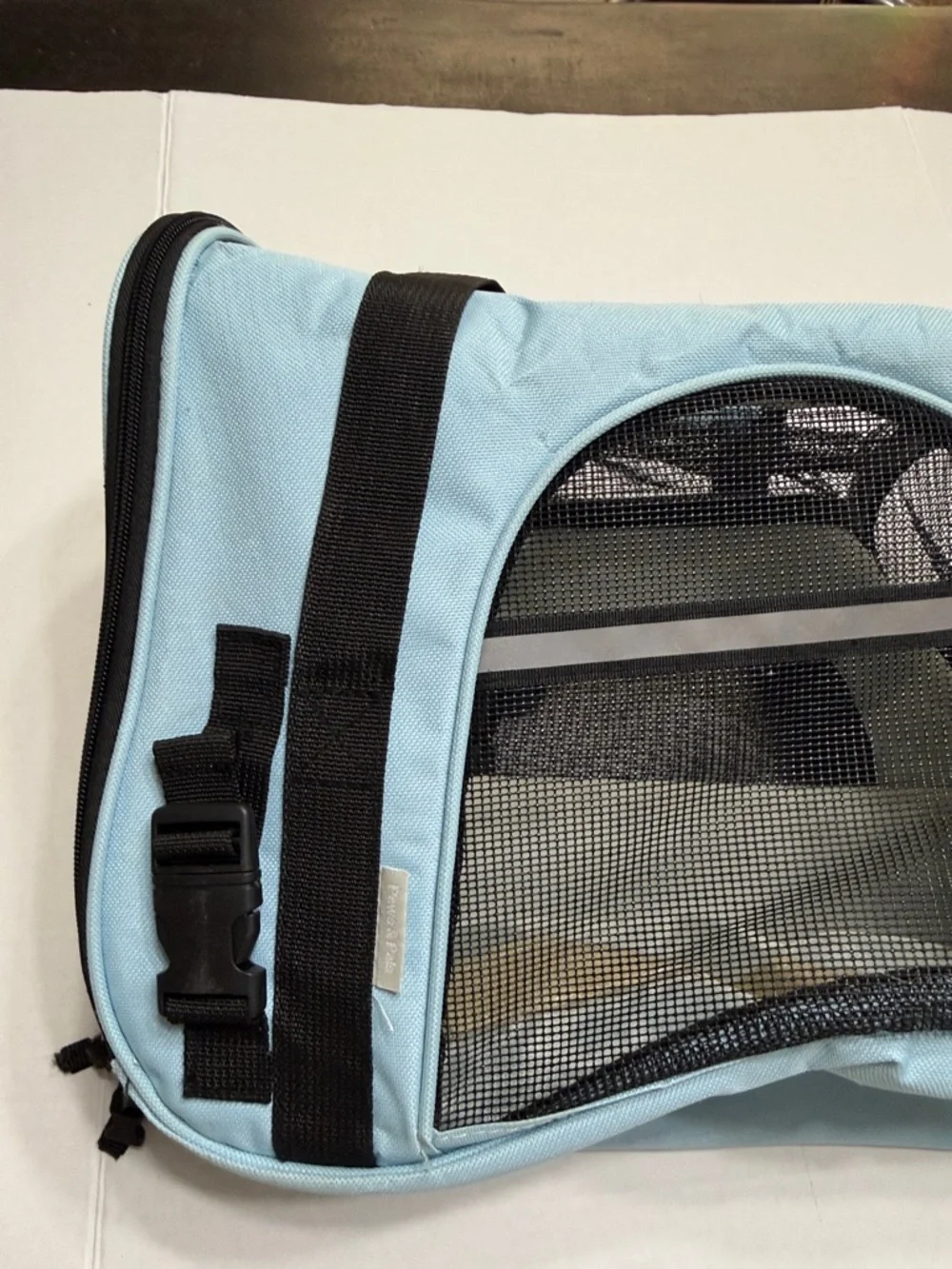 Paws & Pals Light Blue Pet Carrier with Black Mesh